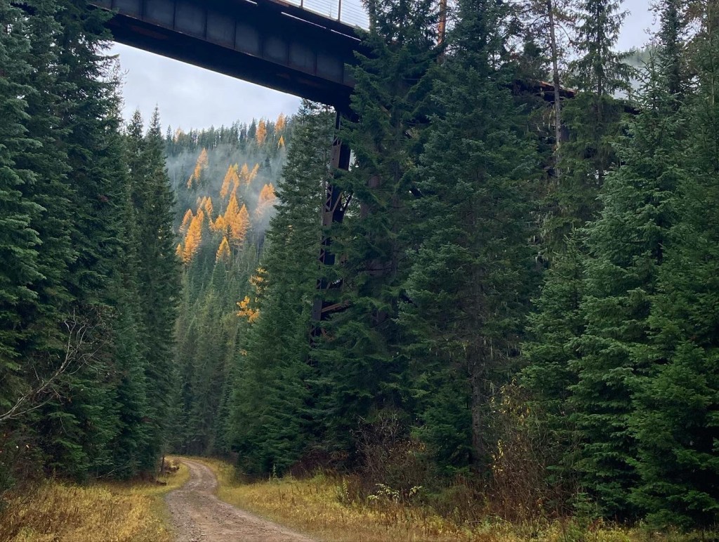 Picture of Dominion train trestle outside of Taft, MT.