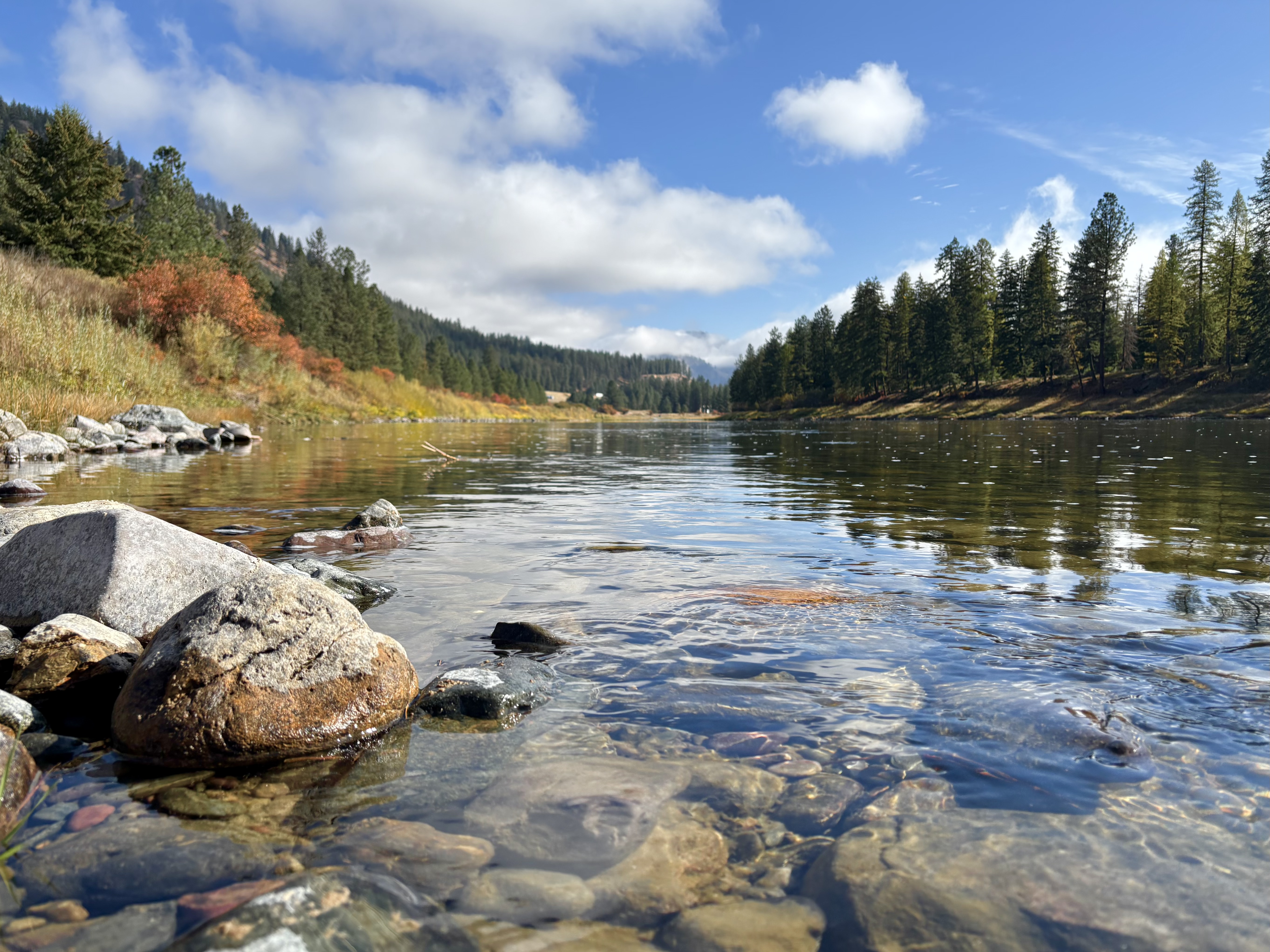 Picture of the Clark Fork River by the Sloway Campground